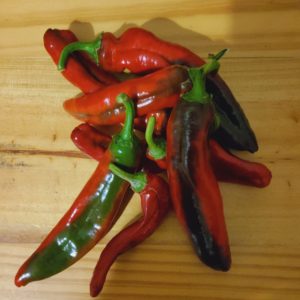 Organic Paprika from the Garden Route
